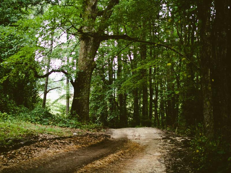 sudoku problem solving screenshot 3